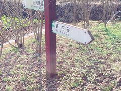 景点-宁波浙东大竹海景区
