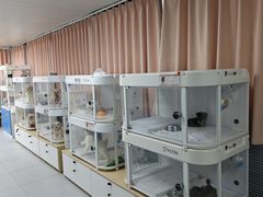 -翊宠yipet猫狗购宠庄园犬舍•猫舍