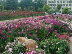 -南华大学(红湘校区)