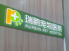 -瑞鹏宠物医院·微创内窥镜·骨外科·牙科(翠竹分院)