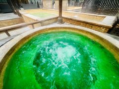 -春晖园度假酒店温泉