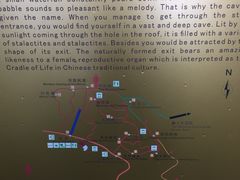 -千岛湖石林