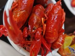 -麦积山温泉