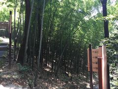 -穹窿山景区