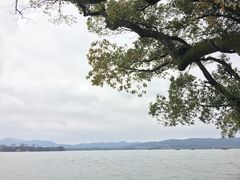 -杭州西湖柳莺里酒店