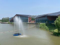 -上海长兴岛郊野公园