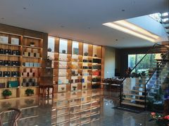 -绿雪芽白茶(浙大华家池校区凯旋路店)