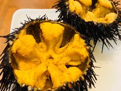 -海胆小馆(东北水饺·春柳店)