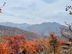 -周口店坡峰岭风景区