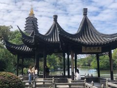-红梅公园