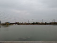 -九里河湿地公园