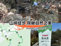 -东莞市大岭山森林公园