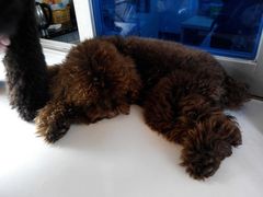 android_upload_pic-厦门燕子坞客栈