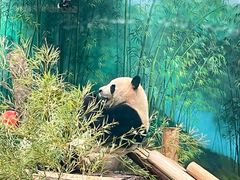 -杭州动物园