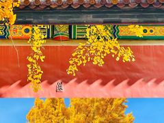 -故宫博物院(故宫)