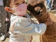 -新疆天山野生动物园