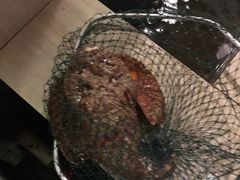 -海盗餐厅