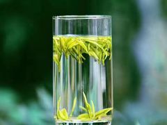 -茶语轩(频阳大道店)