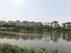 -枫香湖儿童公园