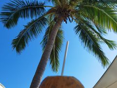 -亚龙湾海底世界