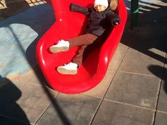 -大兴滨河森林公园