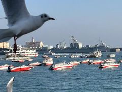 -青岛第三海水浴场