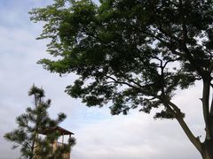 -青岛第三海水浴场