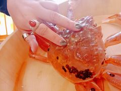 -鲔屋寿喜烧