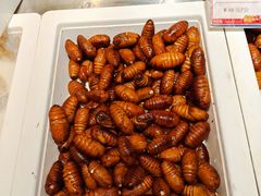 -永红源啤酒·烧烤·海鲜·大排档(青特城店)