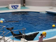 -鹿儿岛水族馆