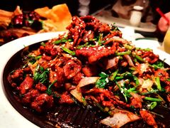 -秀儿四九城·新京菜(亚运村鸟巢店)