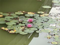 -原山国家森林公园