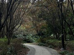 -石湖景区