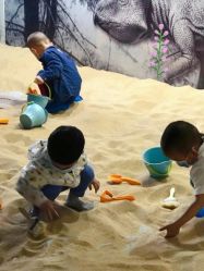 -恐龙探索乐园(磁器口店)