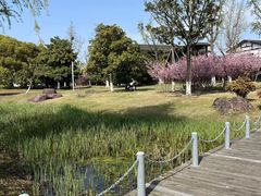 -阳澄湖半岛旅游度假区