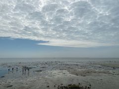 -北海金海湾红树林生态旅游区