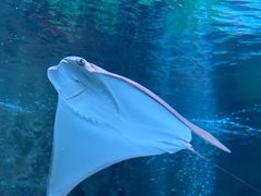 -沈阳海洋探索中心