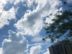 -莲泰式·中式·沐足·精油SPA采耳(天河店)