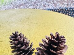 -三门江国家森林公园