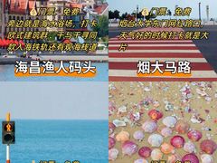 -东辰望海鱼码头·海鲜餐厅