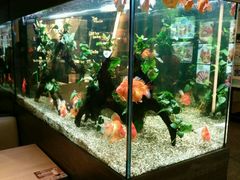 -大家乐(广州荔湾领展广场店)