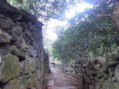 -东寨港红树林旅游区