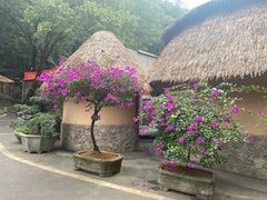 -天怡·鱼工厂(梅溪湖店)