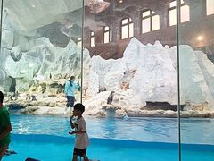 -帝企鹅自助餐厅•儿童岛•真企鹅(长隆企鹅酒店)