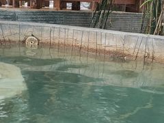 -龙达温泉生态城