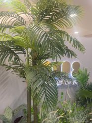 点击看大图 -八佰伴8008星级形象店