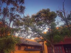 -江心屿景区