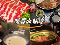 -捞王猪肚鸡火锅(财富中心店)