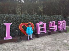 -白马涧龙池景区