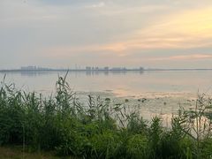 -阳澄湖费尔蒙酒店